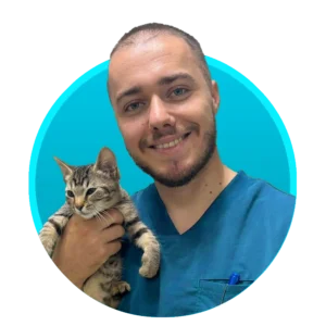 Dr. Alexandru Marcu