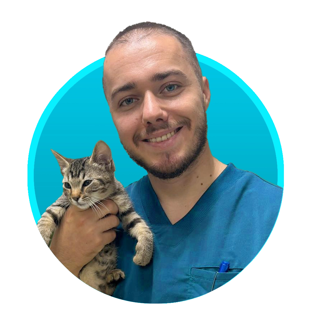Dr. Alexandru Marcu