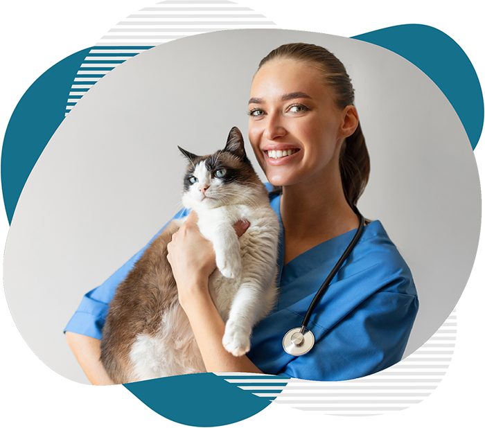 Anunț angajare medic veterinar PartnerVet Constanța