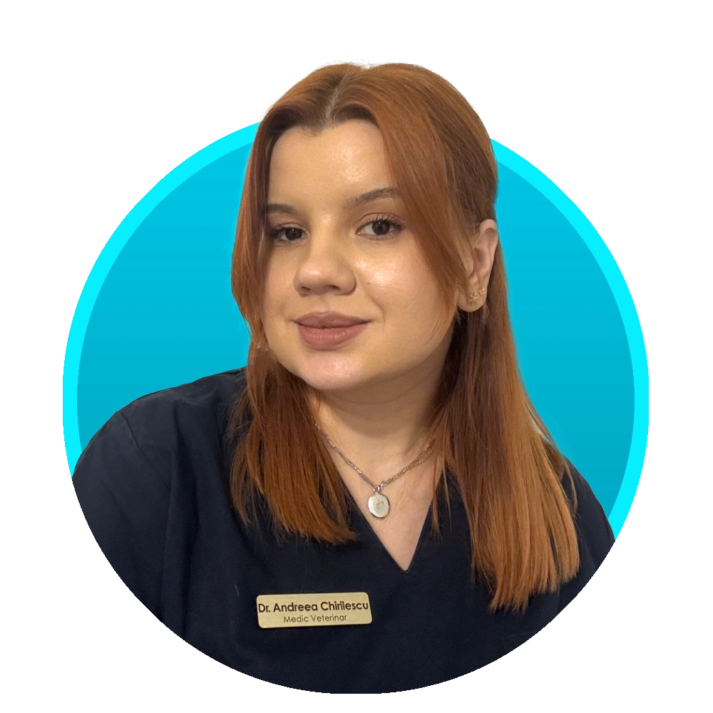Dr. Andreea Chirilescu