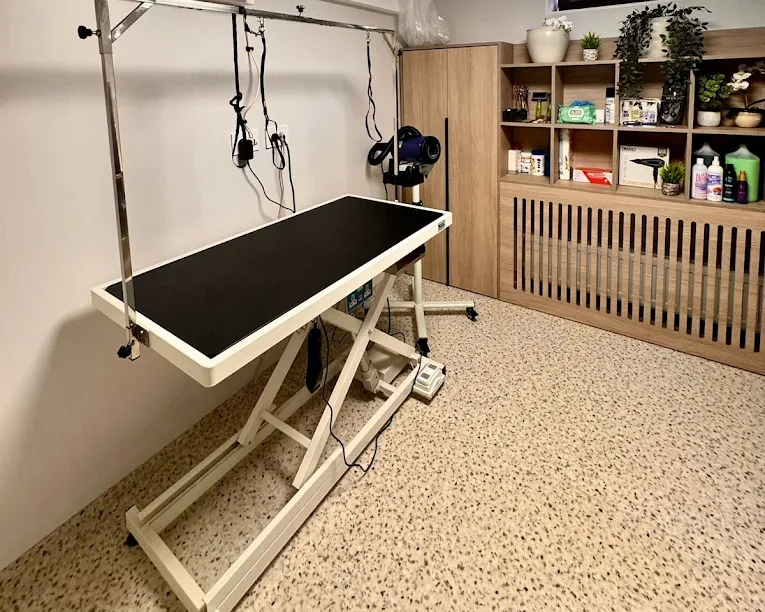 Clinica Veterinara PartnerVet Dorobanti