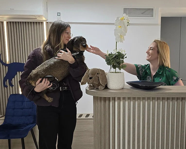 Clinica Veterinara PartnerVet Dorobanti