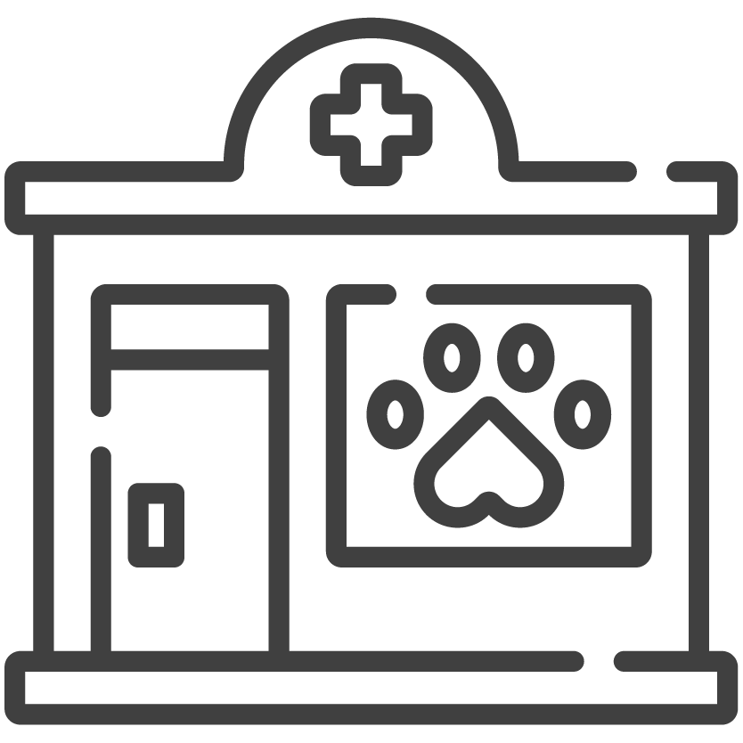 Internare animale companie Dorobanti