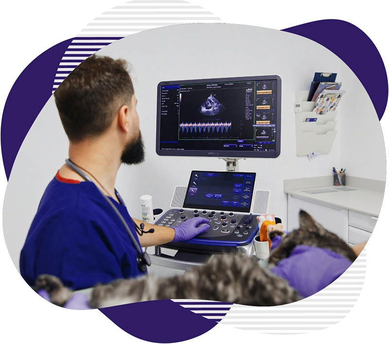 Cardiologie 1