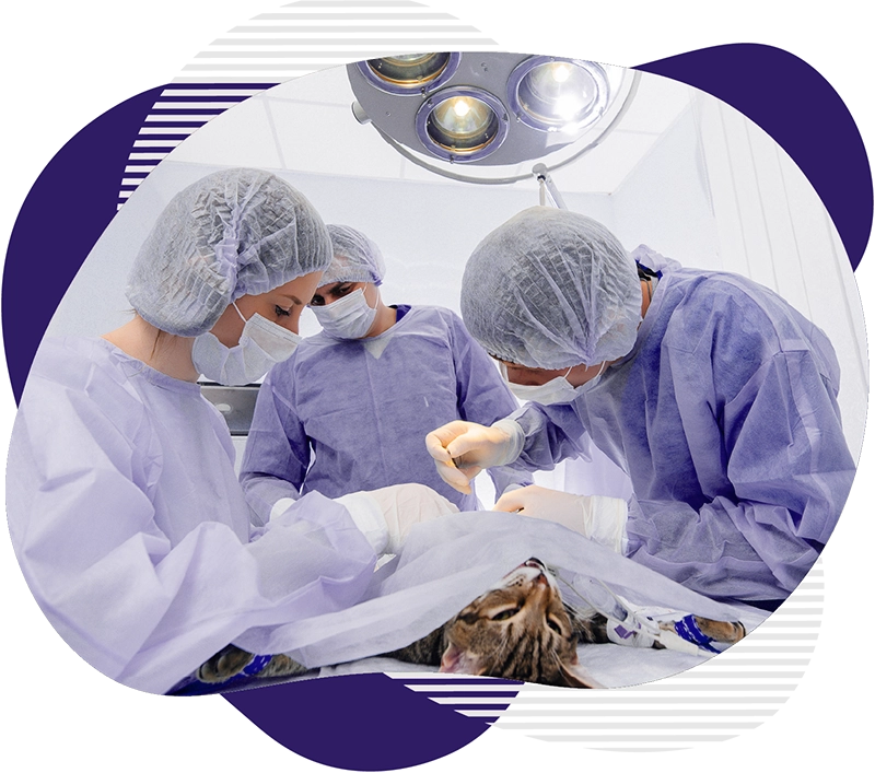 Chirurgie tesuturi moi 1