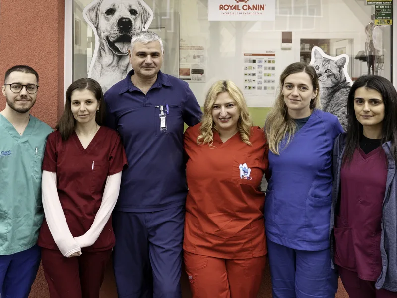 Echipa medicala a clinicii veterinare PartnerVet Timisoara
