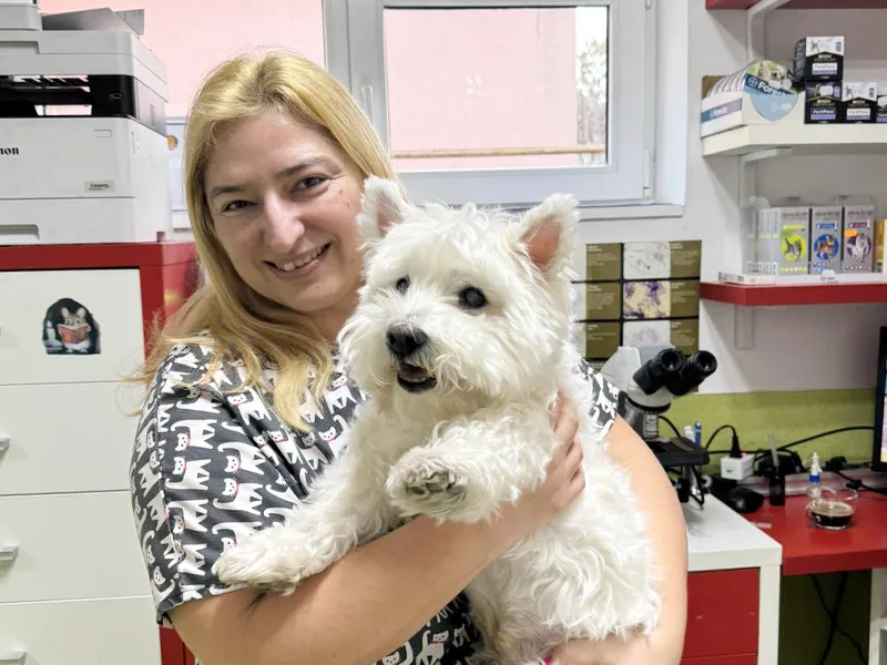 Ingrijire animale companie la PartnerVet Timisoara
