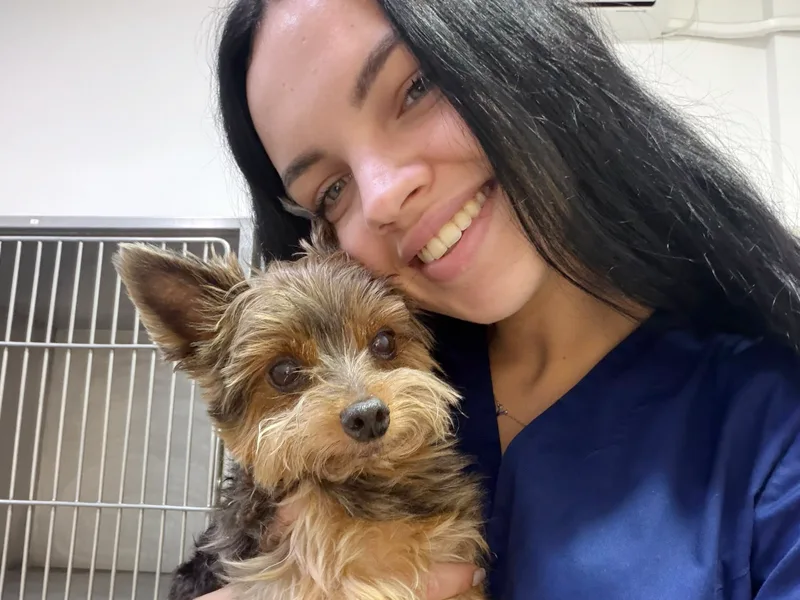 Internare animale companie la clinica PartnerVet Constanta