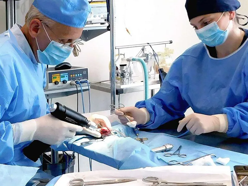 Laparoscopie in clinica PartnerVet Brasov