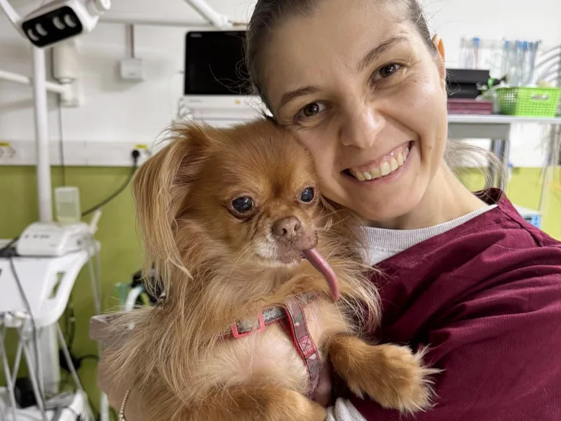 Consultatii veterinare la PartnerVet Timisoara