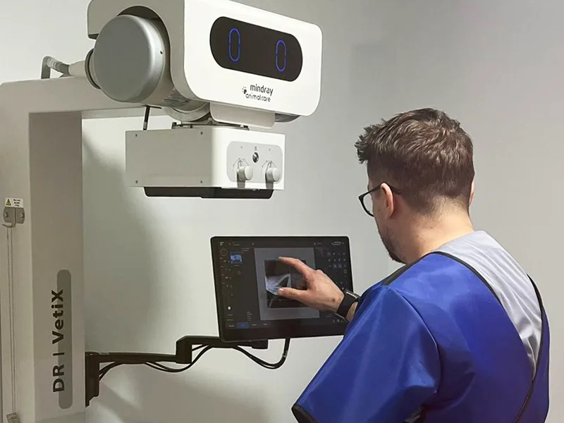Radiologie veterinara la clinica PartnerVet Constanta