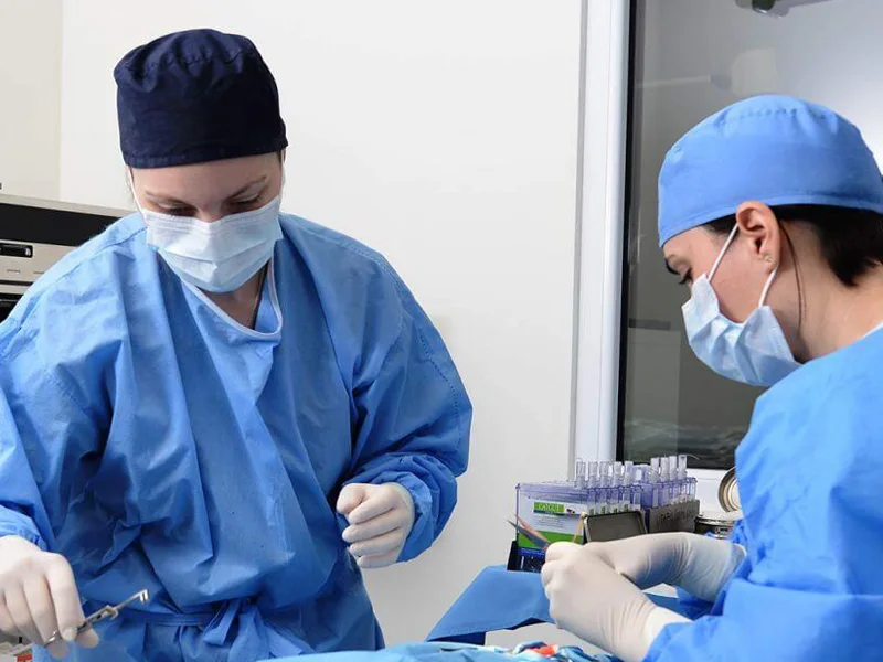 Chirurgie in clinica veterinara PartnerVet Brasov