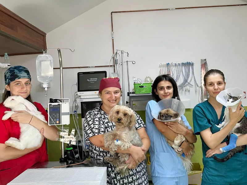 Tratamente animale de companie cu grija si pasiune la PartnerVet Timisoara