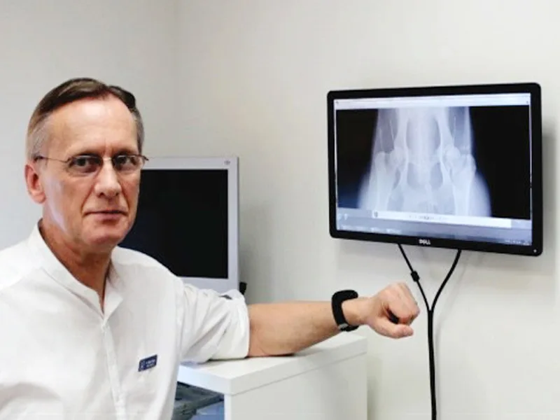 Radiologie veterinara in clinica PartnerVet Brasov