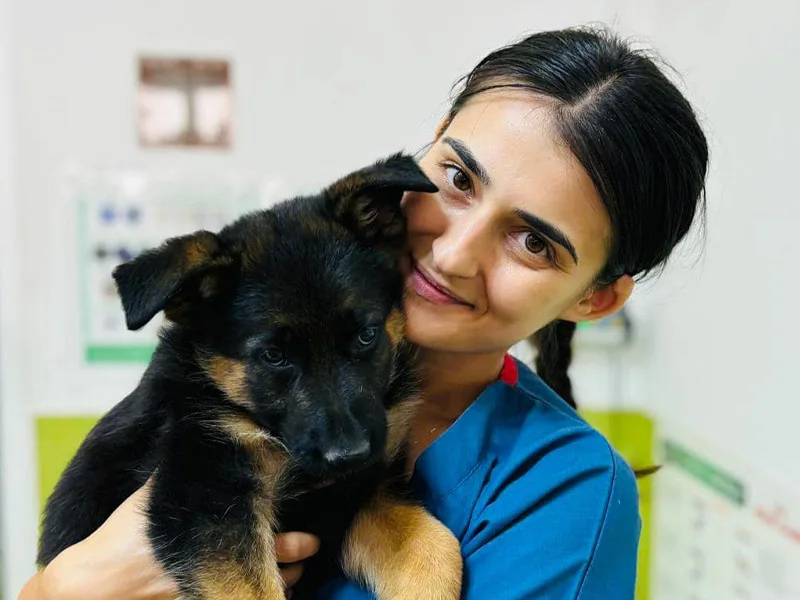 Medicina interna animale de companie la clinica PartnerVet Timisoara