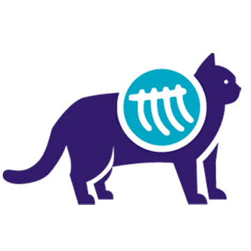 Radiologie veterinara