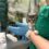 Intoxicația cu ciocolată la câini și pisici: urgență veterinară